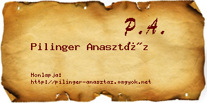 Pilinger Anasztáz névjegykártya